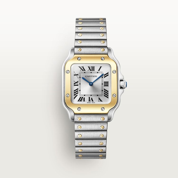 Cartier watch